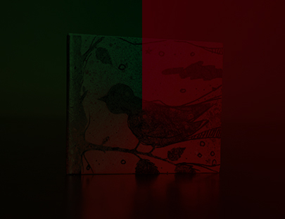 Web漏洞扫描工具